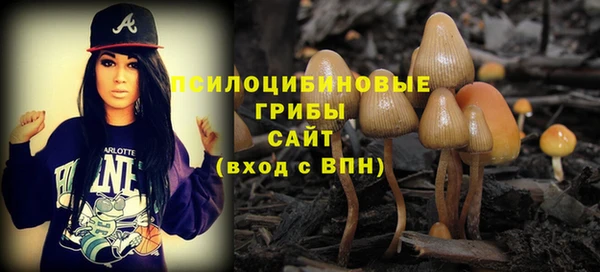 apvp Кинешма