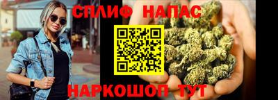 ПСИЛОЦИБИНОВЫЕ ГРИБЫ Гусев