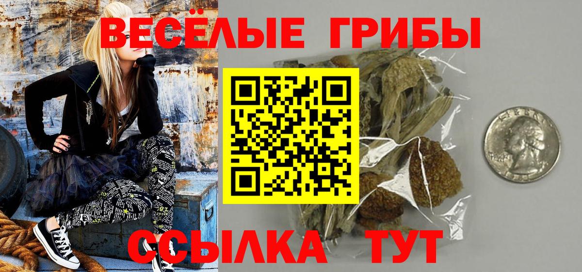 Псилоцибиновые грибы ЛСД Грязи