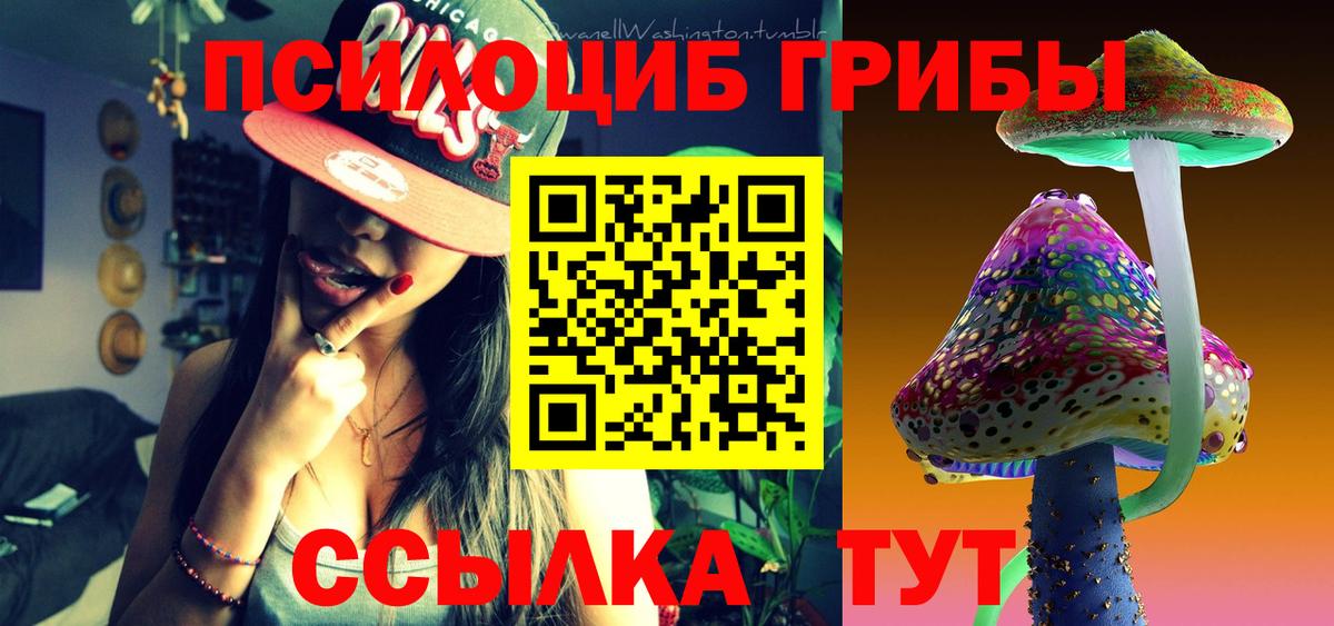 Псилоцибиновые грибы Psilocybe Грязи