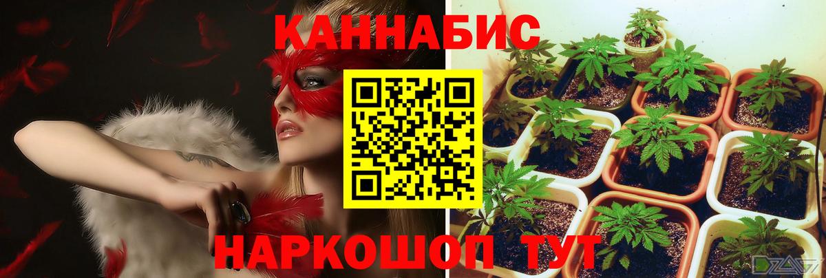 Бошки марихуана LSD WEED  Грязи  Шишки марихуана MAZAR  Каннабис THC 21% 